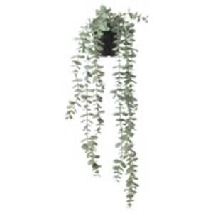 IKEA FEJKA Artificial Hanging Eucalyptus Plant for Indoor and Outdoor Greenery